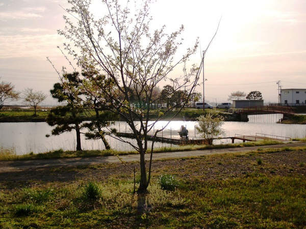 鳥羽井沼公園