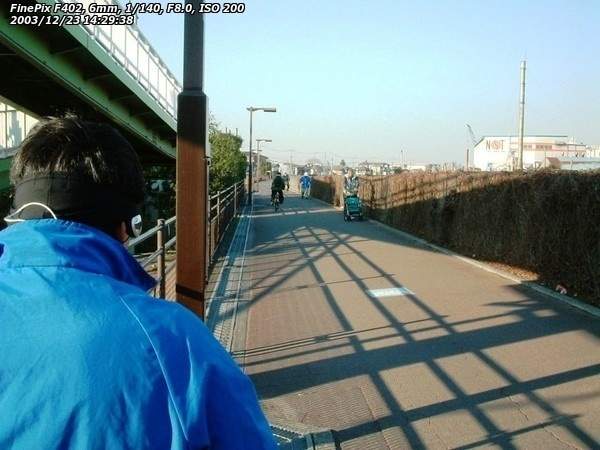 旧江戸川(江戸川区) 自転車道というより遊歩道